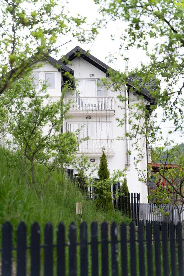 Vila Club Dioda Cicanesti Exteriér fotografie